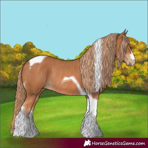Horse Color:Chestnut Tobiano Rabicano