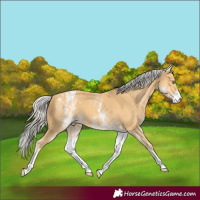 Horse Color:White Spotted Silver Amber Cream Champagne Varnish 
