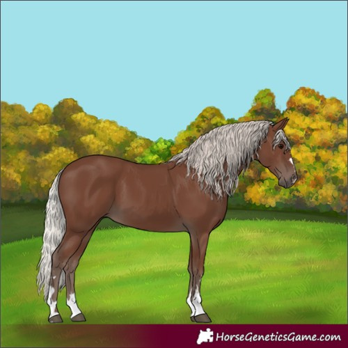 Horse Color:Silver Black