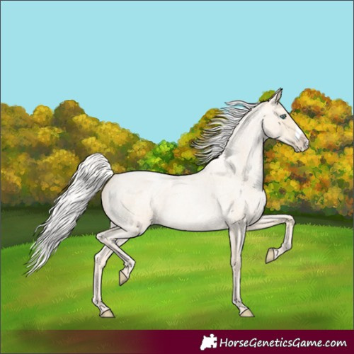 Horse Color:Silver Smoky Blue Roan Pearl Frame
