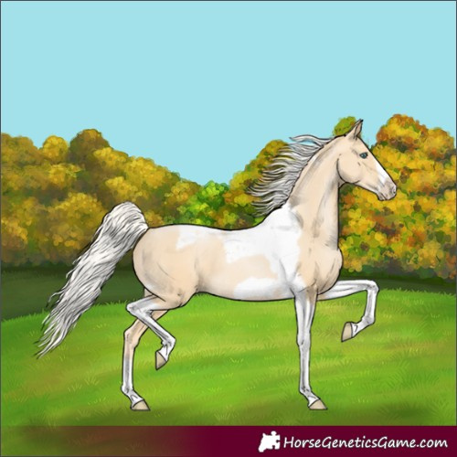 Horse Color:Silver Smoky Black Pearl Tobiano Frame 