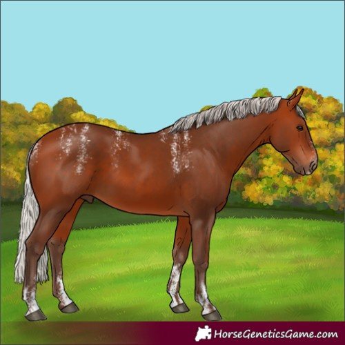 Horse Color:Powder White Silver Bay 