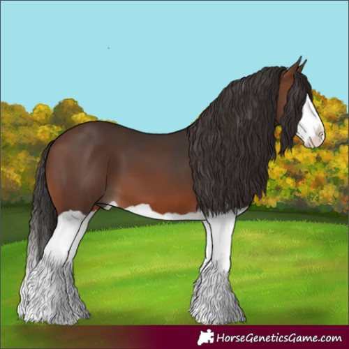 Horse Color:Brown Splash