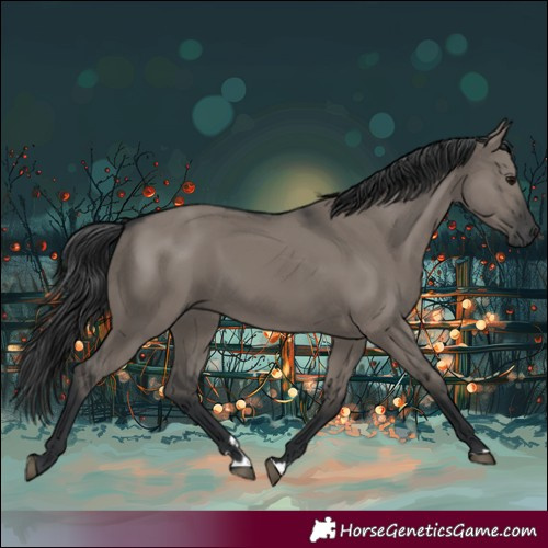 Horse Color:Grullo 