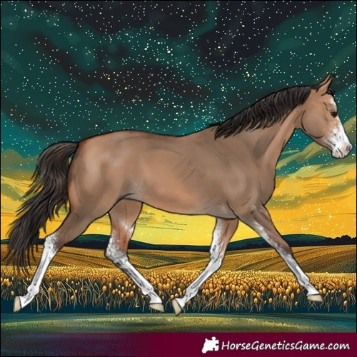 Horse Color:Bay Dun Sabino