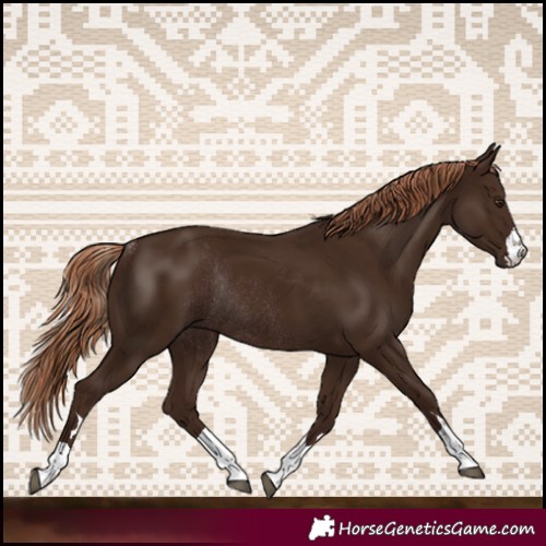 Horse Color:Liver Chestnut Rabicano
