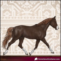 Horse Color:Liver Chestnut Rabicano 