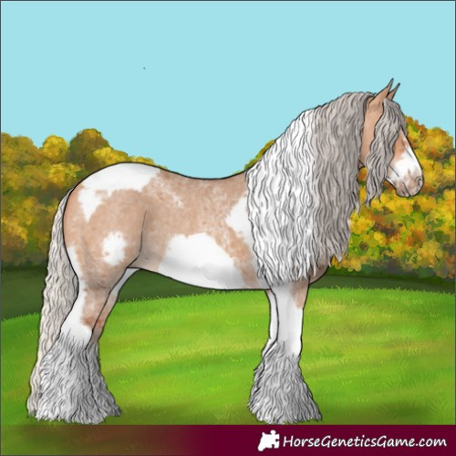 Horse Color:Silver Bay Dun Sabino Tobiano Frame Rabicano 