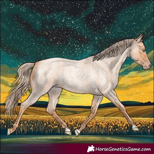 Horse Color:Gold Champagne Roan