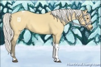 Horse Color:Silver Buckskin Dun Tobiano 