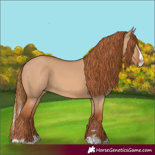 Horse Color:Red Dun Splash 