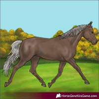 Horse Color:Silver Black 