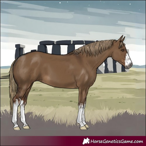 Horse Color:Gray White Spotted Liver Red Dun