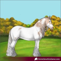 Horse Color:Silver Bay Dun Sabino Tobiano Frame Rabicano 