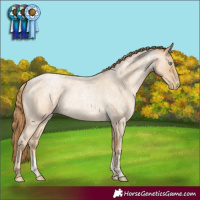 Horse Color:Powder White Buckskin Roan Pearl 