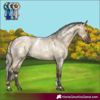 Horse Color:White Spotted Silver Buckskin Roan Dun