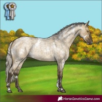 Horse Color:White Spotted Silver Buckskin Roan Dun
