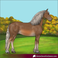 Horse Color:Chocolate Palomino