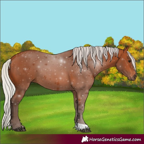 Horse Color:Silver Bay 