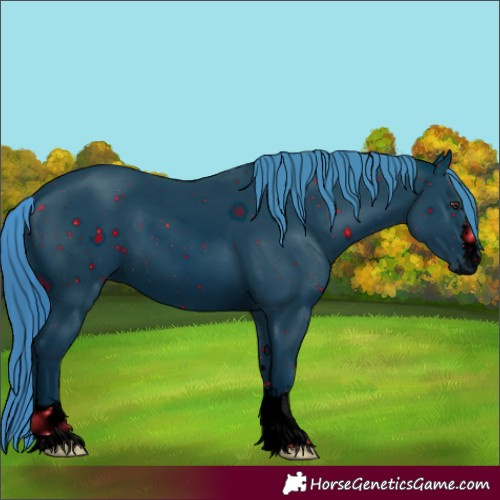 Horse Color:ERROR: UNKNOWN ANOMALY