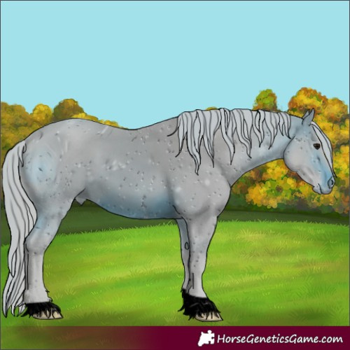 Horse Color:ERROR: UNKNOWN ANOMALY