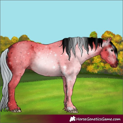 Horse Color:ERROR: UNKNOWN ANOMALY
