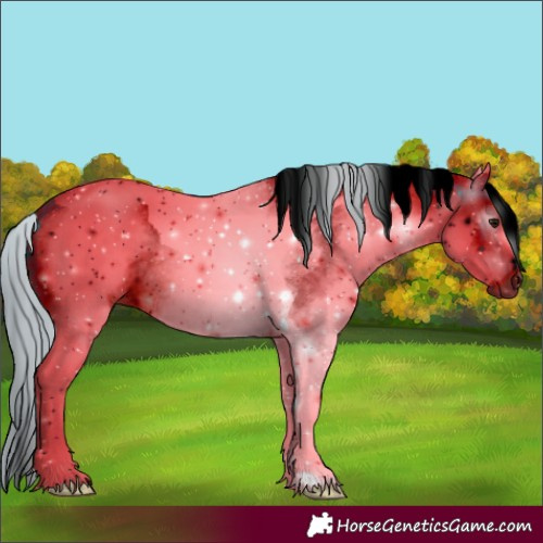 Horse Color:ERROR: UNKNOWN ANOMALY
