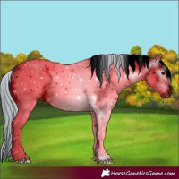 Horse Color:ERROR: UNKNOWN ANOMALY