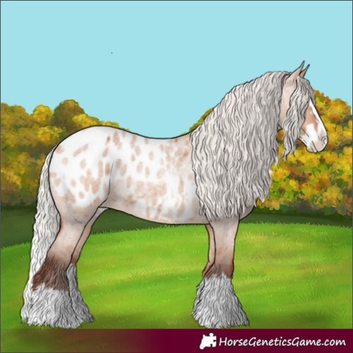 Horse Color:Silver Bay Roan Dun Splash Appaloosa