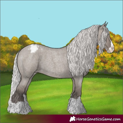 Horse Color:Platinum Silver Grullo Roan Splash Varnish