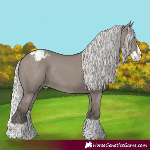 Horse Color:Platinum Silver Grullo Splash Appaloosa Rabicano 