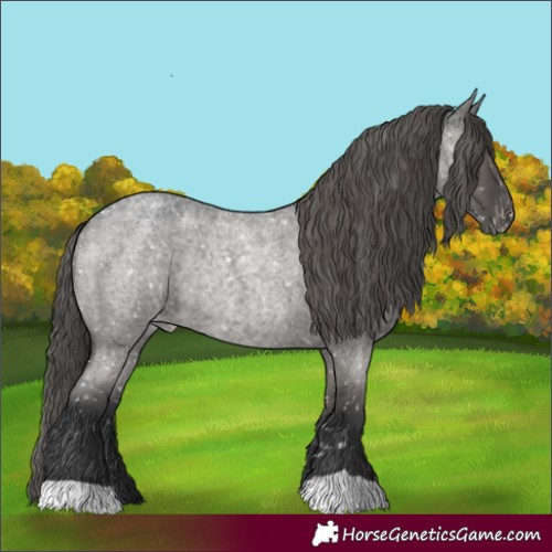 Horse Color:Platinum Grullo Roan Appaloosa Rabicano