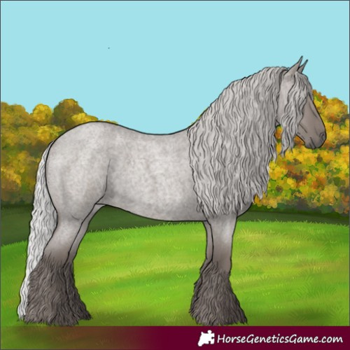 Horse Color:Platinum Silver Grullo Roan Rabicano 