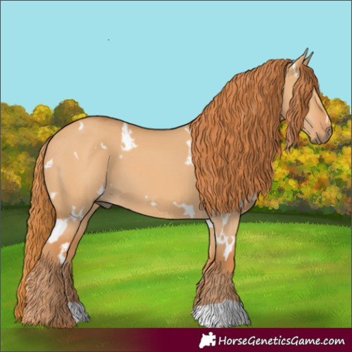 Horse Color:White Spotted Red Dun