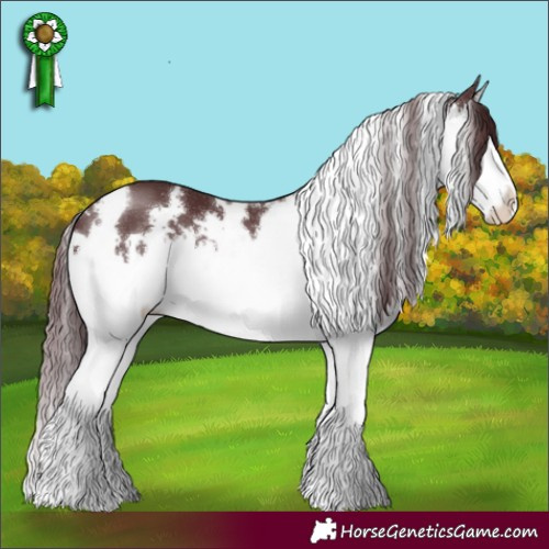 Horse Color:White Spotted Chocolate Brown Splash 