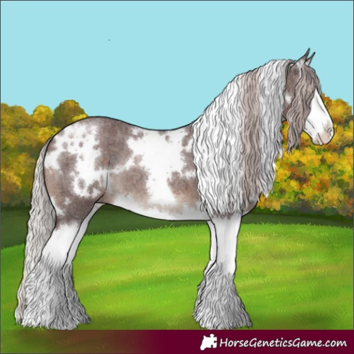 Horse Color:White Spotted Chocolate Silver Brown Roan Splash 