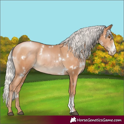 Horse Color:White Spotted Silver Black Pearl Sabino Rabicano