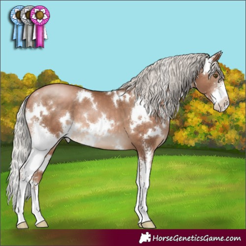 Horse Color:White Spotted Silver Brown Pearl Sabino 