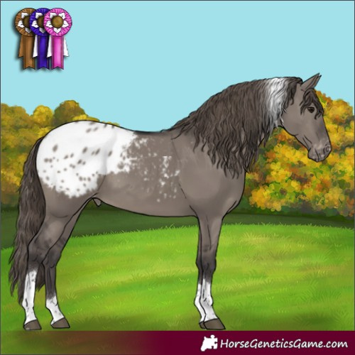 Horse Color:Smoky Grullo Tobiano Appaloosa Rabicano 