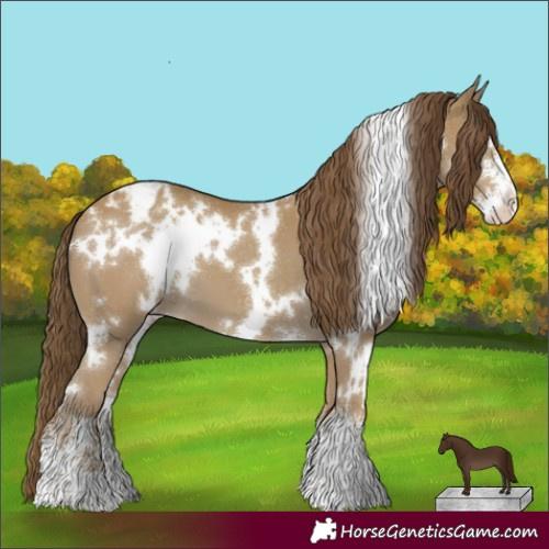 Horse Color:White Spotted Classic Cream Champagne Sabino Appaloosa