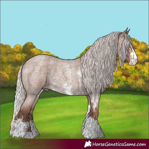 Horse Color:Silver Blue Roan Sabino