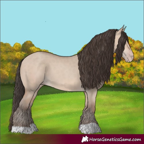 Horse Color:Amber Champagne Dun