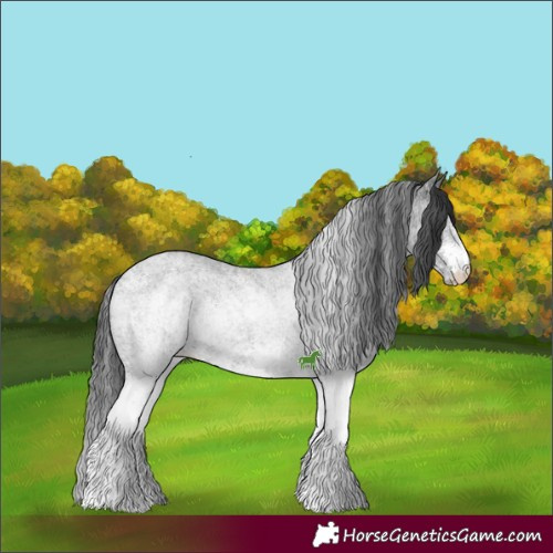 Horse Color:White Spotted Blue Roan 