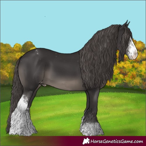 Horse Color:Smoky Black Sabino Appaloosa