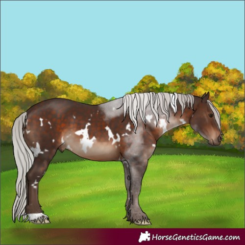 Horse Color:White Spotted Silver Brown 