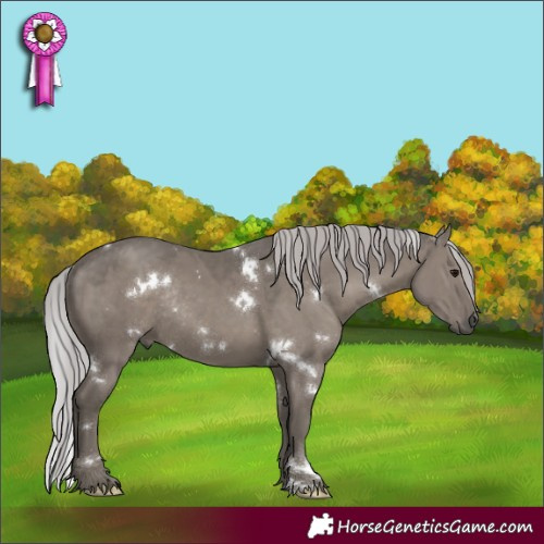 Horse Color:Platinum White Spotted Silver Grullo Rabicano
