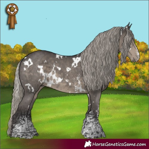 Horse Color:White Spotted Silver Smoky Black Sabino 