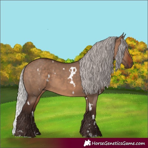 Horse Color:White Spotted Silver Brown Dun