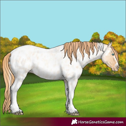 Horse Color:Gold Champagne Roan Dun Splash Tobiano Frame Appaloosa Rabicano