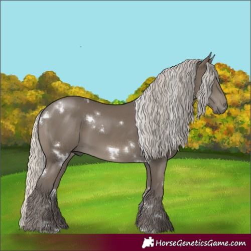 Horse Color:White Spotted Silver Smoky Black